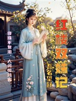 Hồng lâu song xu ký 