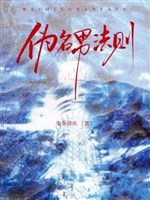 Trộm tâm pháp tắc / Ngụy danh nam pháp tắc 